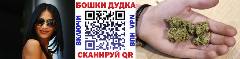 где можно купить наркотик  Шиханы  Конопля MAZAR 